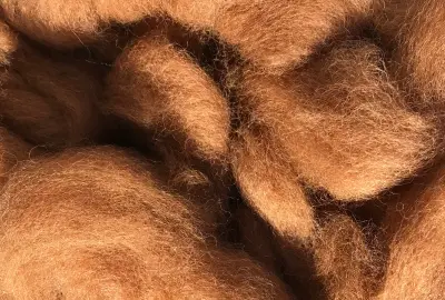  Image of medium brown alpaca fibre rovings